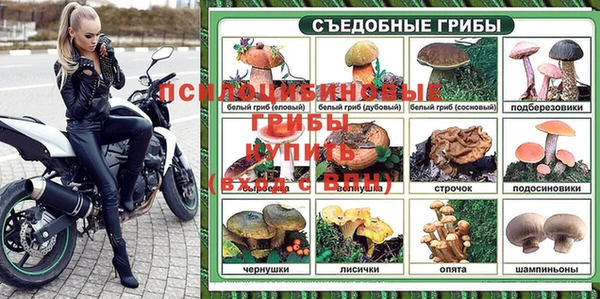 PSILOCYBIN Белоозёрский