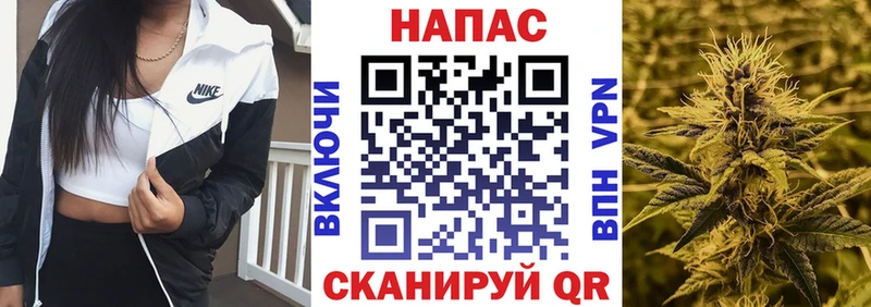 Каннабис план  Купить  Морозовск 